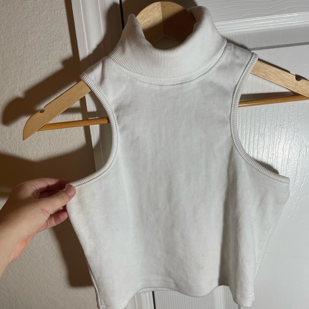 Nasty gal crop turtle neck!